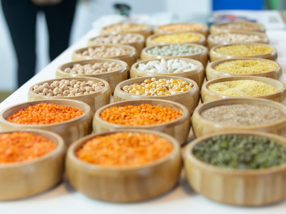 Indian pulses and grains sorted into bulk lots before export